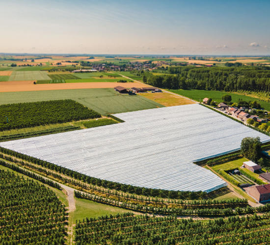Our cherry plantations are covered